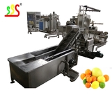 PLC Control Fruit Vegetable Drying Processing Line 1-5t/H Capacity