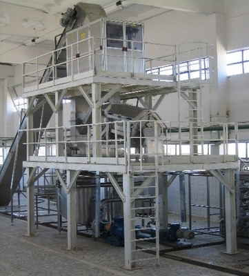 10 Ton/H Mango Processing Equipment Stainless Steel Food Grade PET Bottle Mango Juice