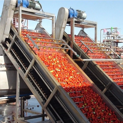 Tomato Paste Production Line For 50 Tones Per Day Processing Machine Turnkey Solutions