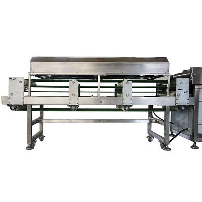 Gıda işleme tesislerinde tortilla üretimi için donatılmış 50hz tortilla üretim hattı
