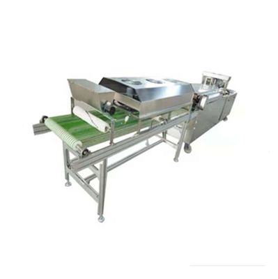 Gümüş Ticari Tortilla Makinesi Otomatik Sınıf Otomatik Tek Sıralı