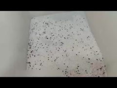 mini renk sıralayıcısı